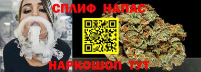 мдпв Будённовск