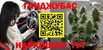 мдпв Будённовск