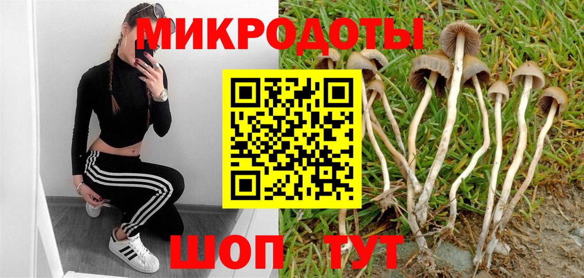 Псилоцибиновые грибы GOLDEN TEACHER Нефтекумск