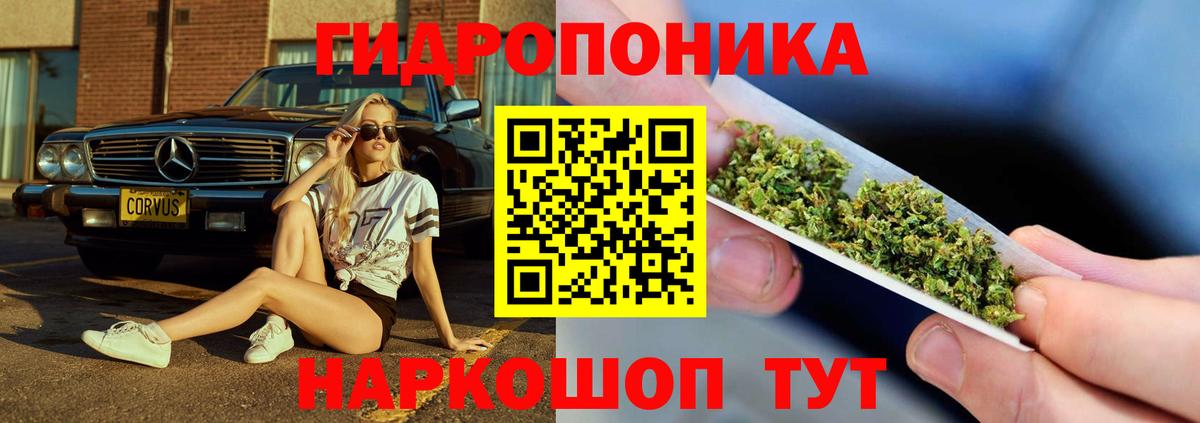 Бошки марихуана Ganja Нефтекумск